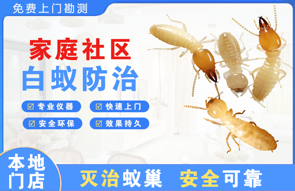 都匀家庭社区白蚁防治
