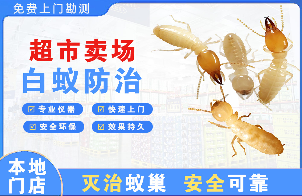 都匀超市卖场白蚁防治