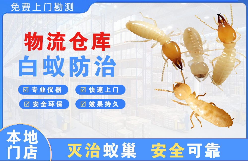 都匀物流仓库白蚁防治