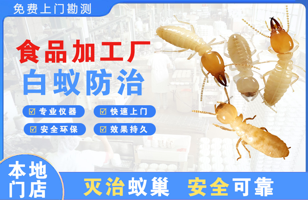 都匀食品加工厂白蚁防治