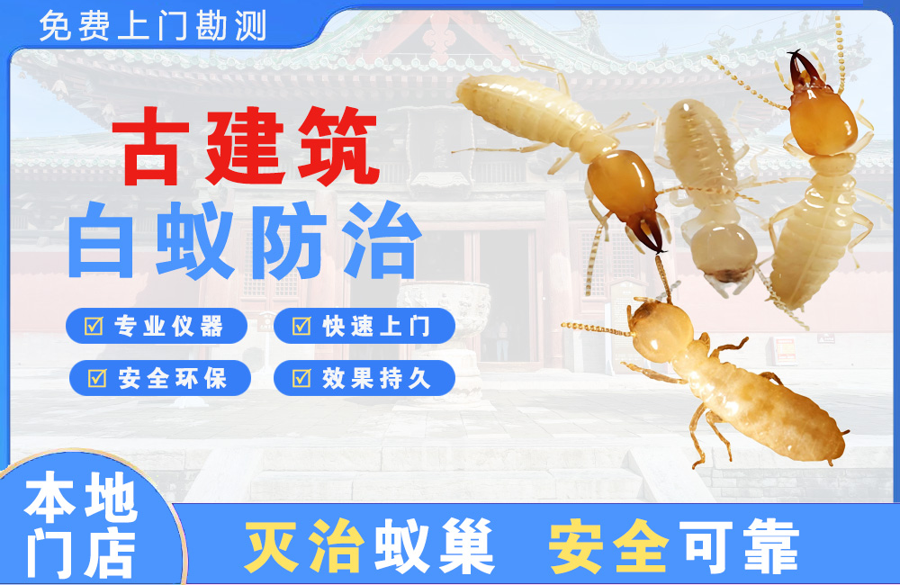 都匀古建筑白蚁防治
