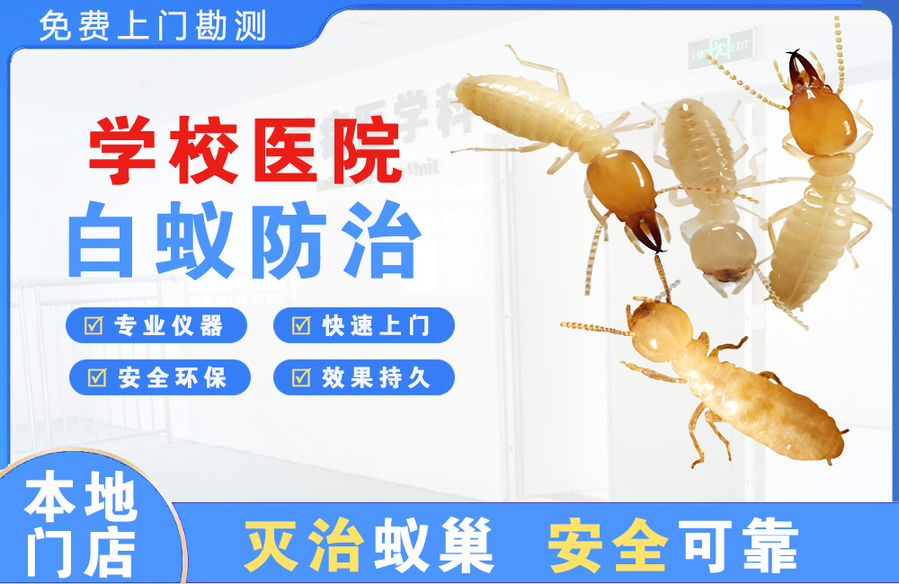 都匀学校医院白蚁防治