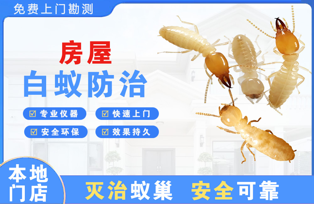 都匀房屋白蚁防治