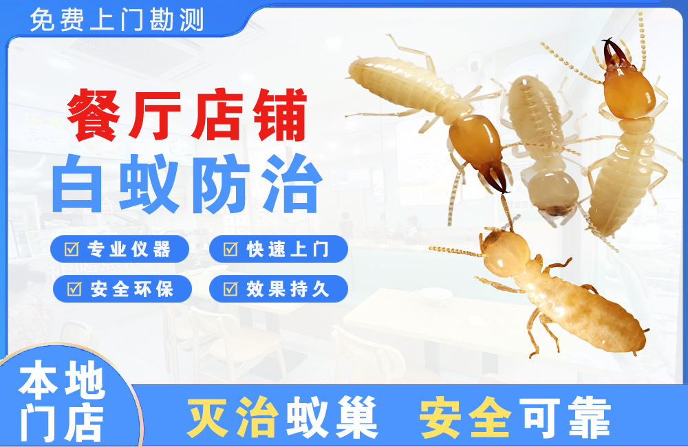 都匀餐厅店铺白蚁防治